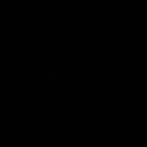 Meet your Posher, Kaleisha